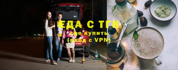 индика Няндома