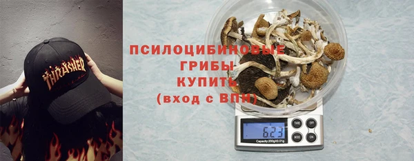 индика Няндома