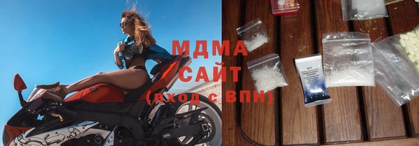 индика Няндома