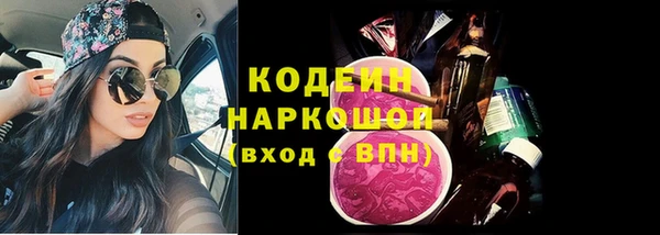 индика Няндома