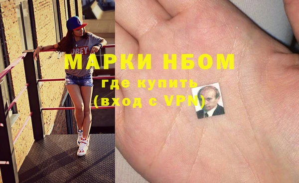 индика Няндома