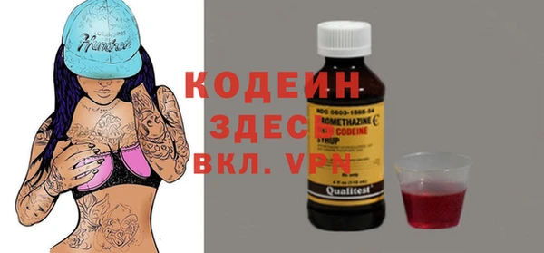 индика Няндома