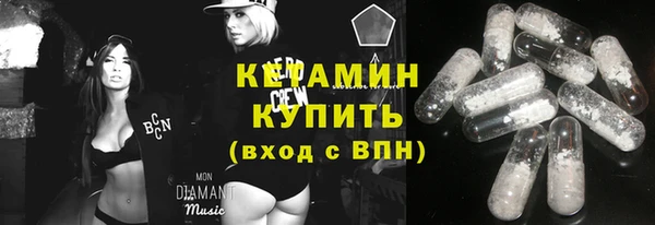 индика Няндома