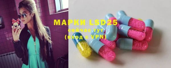 индика Няндома