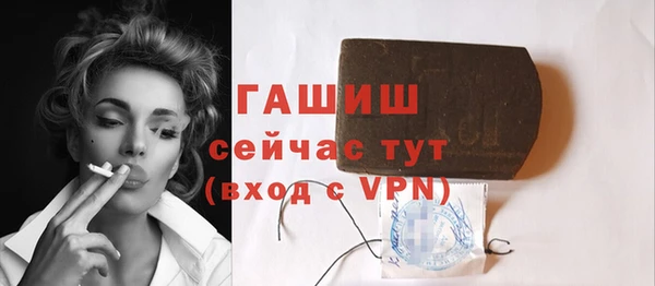 индика Няндома