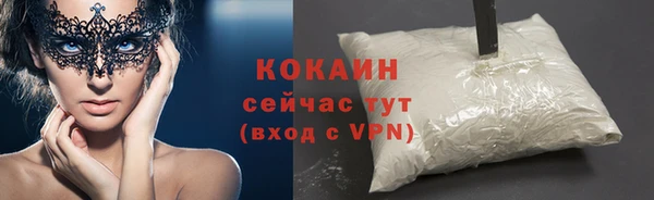 индика Няндома