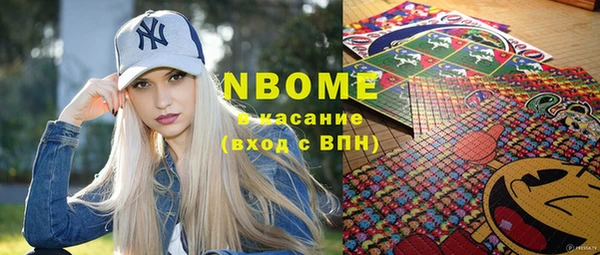 индика Няндома