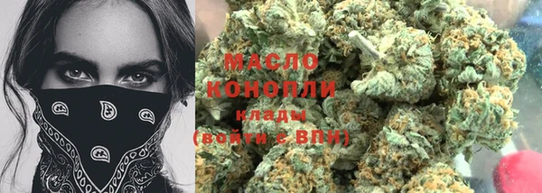индика Няндома