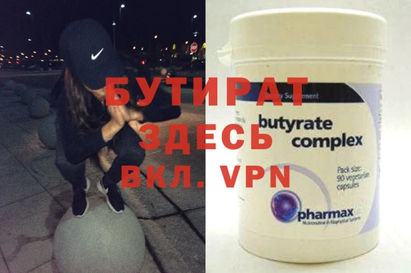 индика Няндома