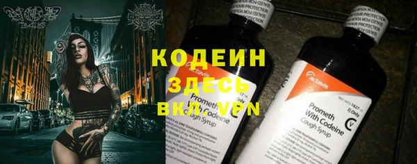 гашик Нягань