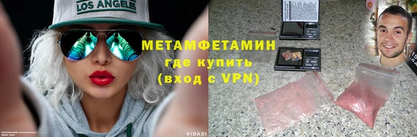 индика Няндома